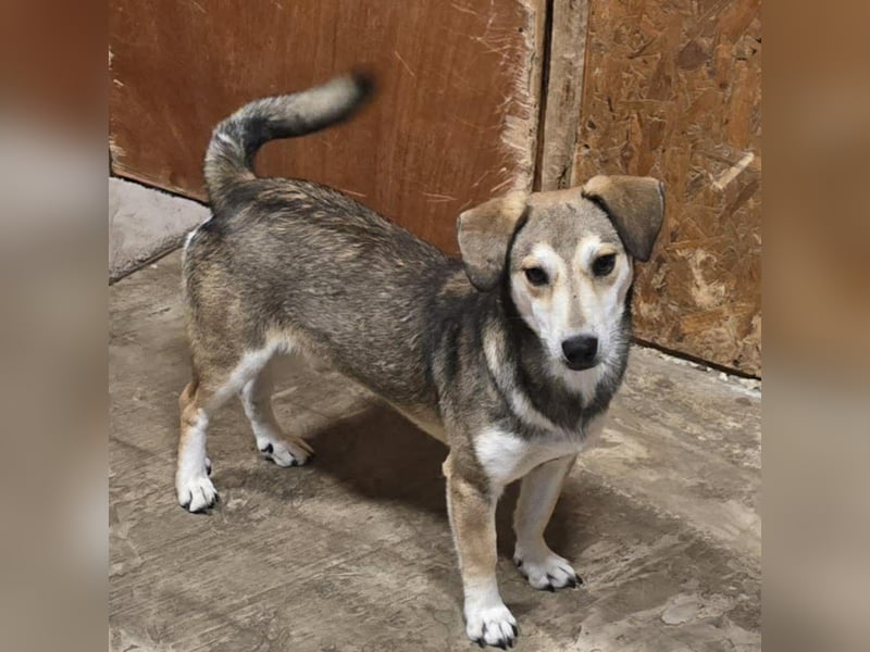 Popes - wo darf ich Zuhause sein?