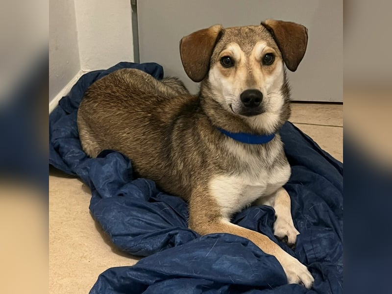 Popes - wo darf ich Zuhause sein?