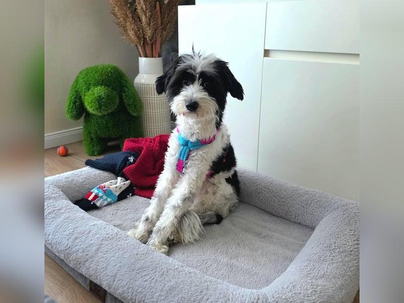 Tilly, Zaubermaus mit Handicap