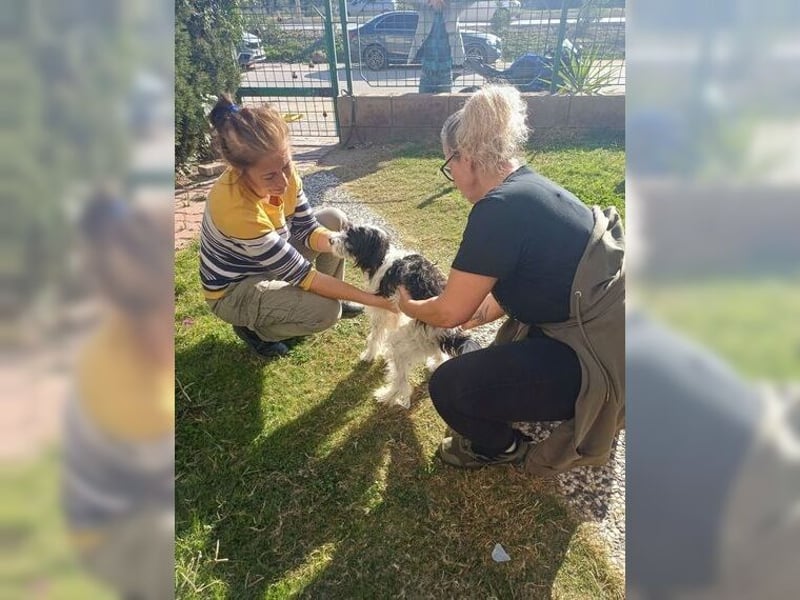 Tilly, Zaubermaus mit Handicap