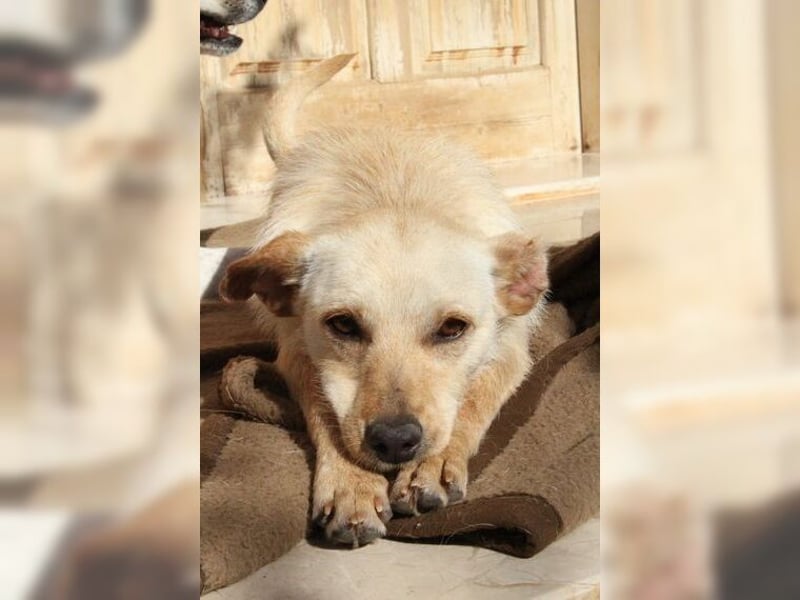 Minu, kleine, zarte, verspielte Zaubermaus