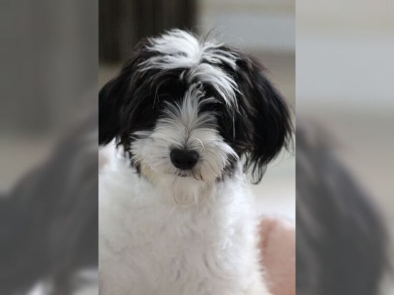 Tilly, Zaubermaus mit Handicap