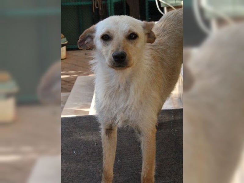 Minu, kleine, zarte, verspielte Zaubermaus