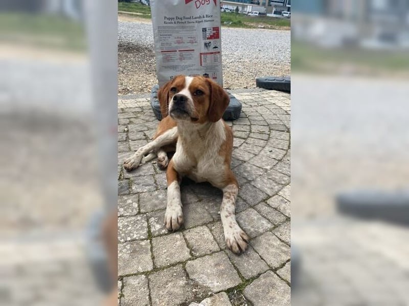 Sonnenschein Lady bringt Freude ins Leben