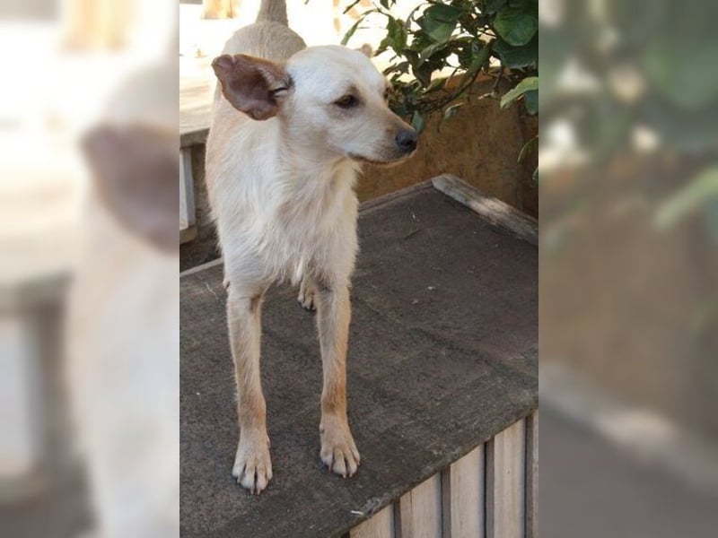 Minu, kleine, zarte, verspielte Zaubermaus