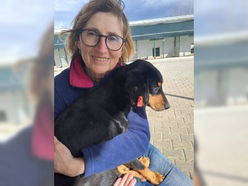 Polly, Angsthündin mit großem Herzen