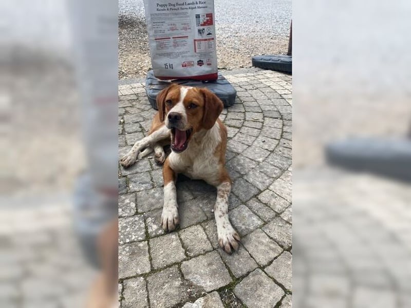 Sonnenschein Lady bringt Freude ins Leben