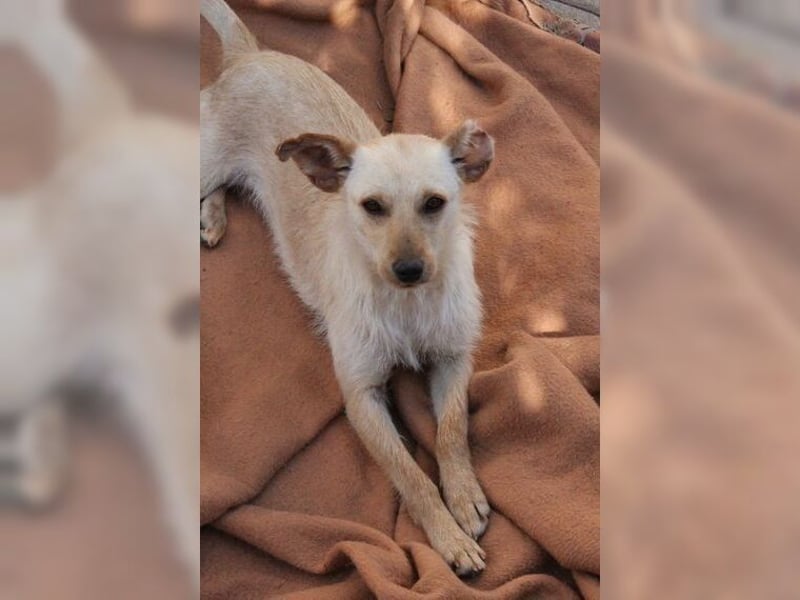 Minu, kleine, zarte, verspielte Zaubermaus