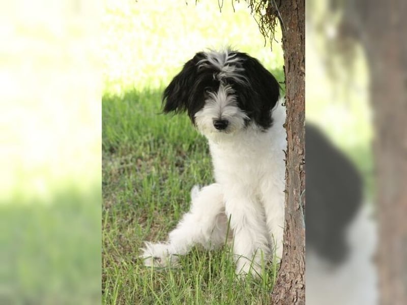 Tilly, Zaubermaus mit Handicap