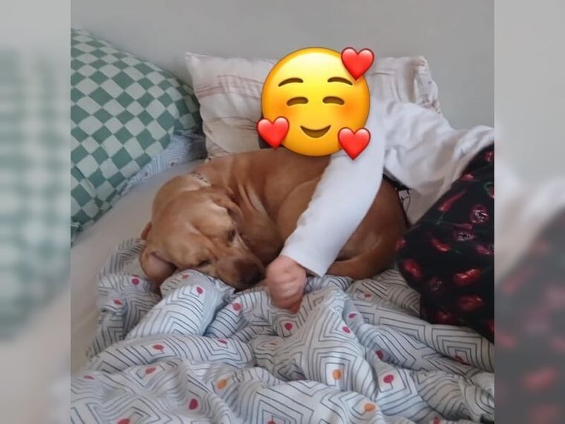 Gloria, kinderfreundliche Knutschkugel