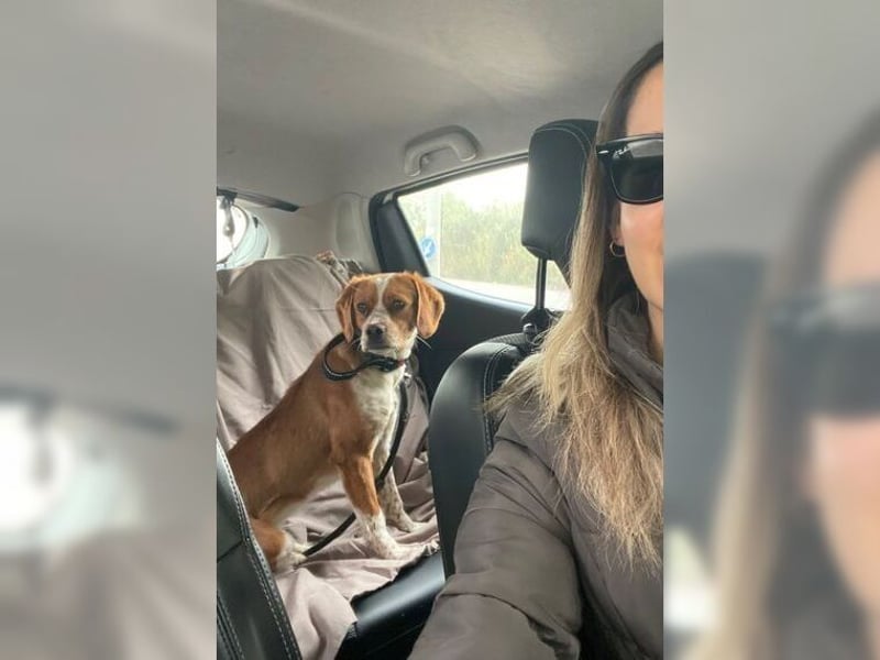 Sonnenschein Lady bringt Freude ins Leben