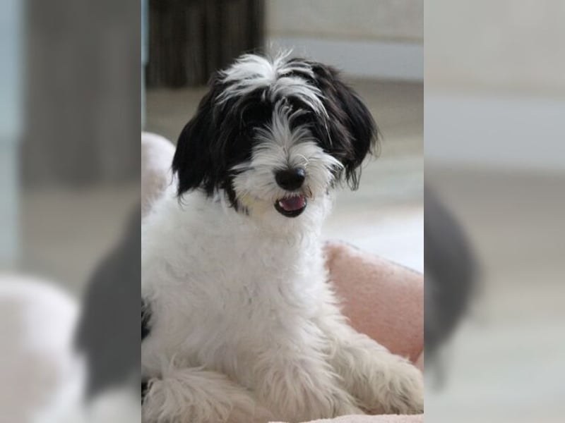 Tilly, Zaubermaus mit Handicap