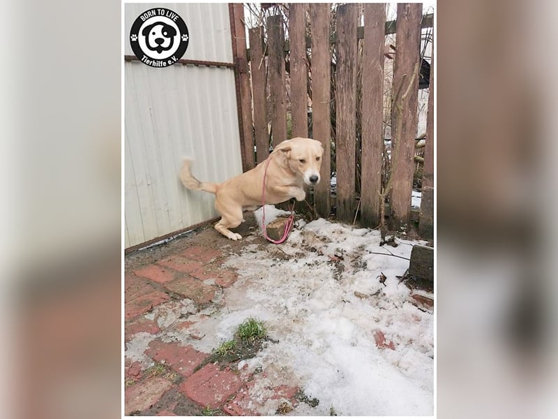 GREGOR, zuckersüsser, kleiner Fratz