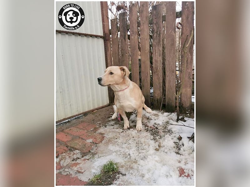 GREGOR, zuckersüsser, kleiner Fratz