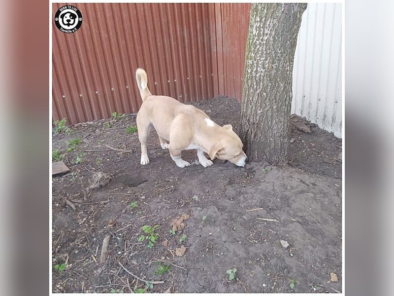 GREGOR, zuckersüsser, kleiner Fratz