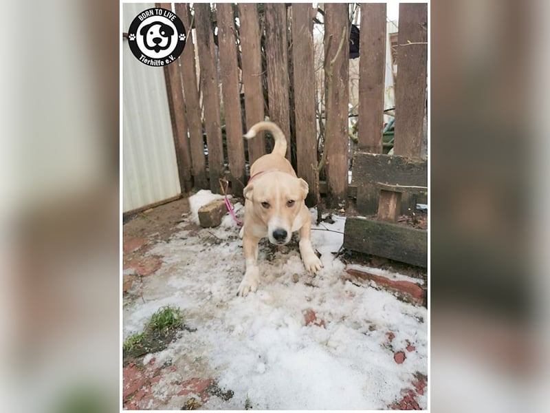 GREGOR, zuckersüsser, kleiner Fratz