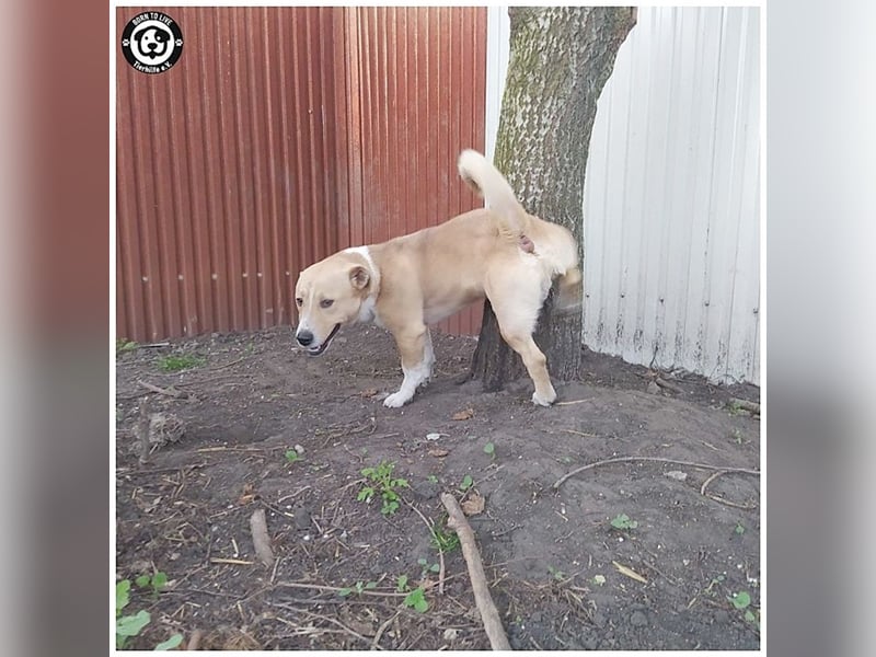 GREGOR, zuckersüsser, kleiner Fratz