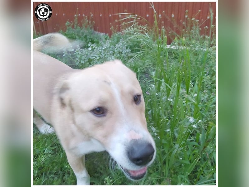 GREGOR, zuckersüsser, kleiner Fratz