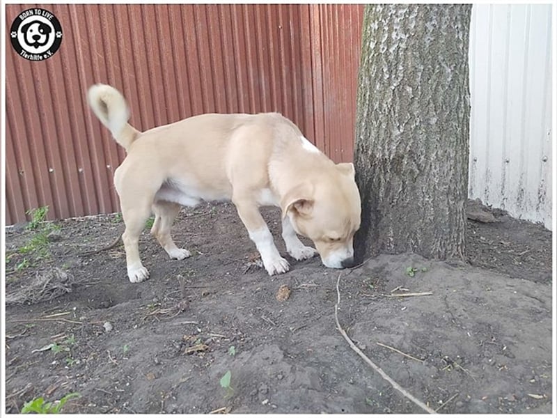 GREGOR, zuckersüsser, kleiner Fratz