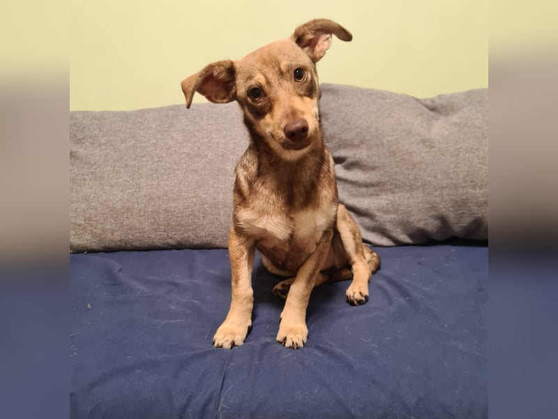 in Niedersachsen zwei süße Mädchen