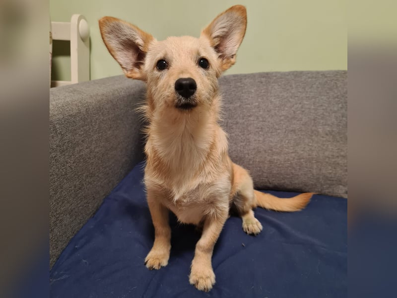 in Niedersachsen zwei süße Mädchen