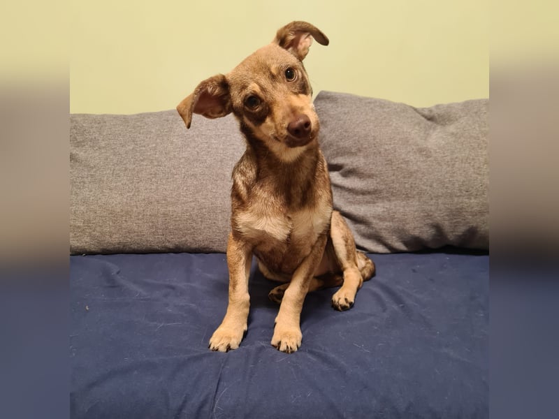 in Niedersachsen zwei süße Mädchen