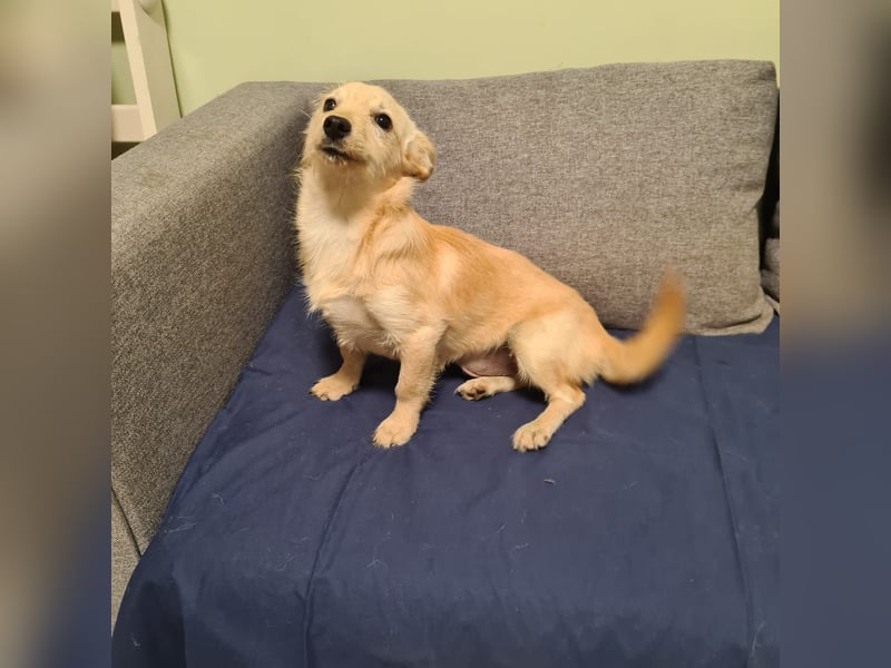 in Niedersachsen zwei süße Mädchen