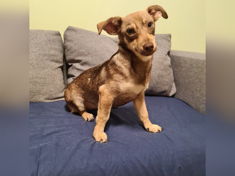 in Niedersachsen zwei süße Mädchen