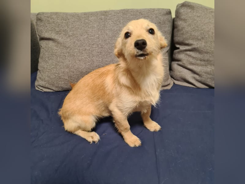 in Niedersachsen zwei süße Mädchen