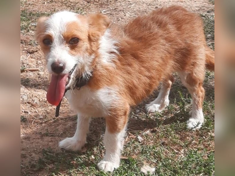 Milva & Elvis warten im Tierpflegenest in 71522 Backnang