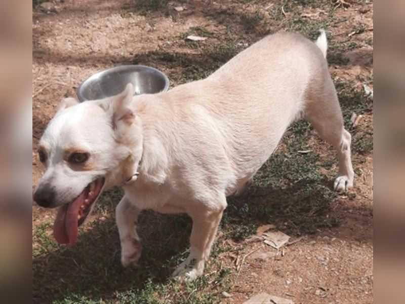 Milva & Elvis warten im Tierpflegenest in 71522 Backnang