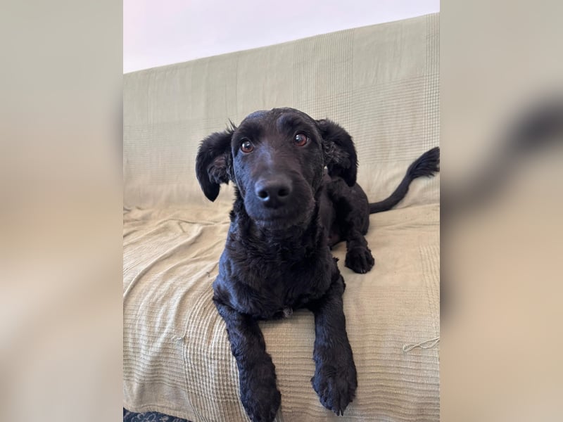 Tolle kluge Lea wartet auf Sie!