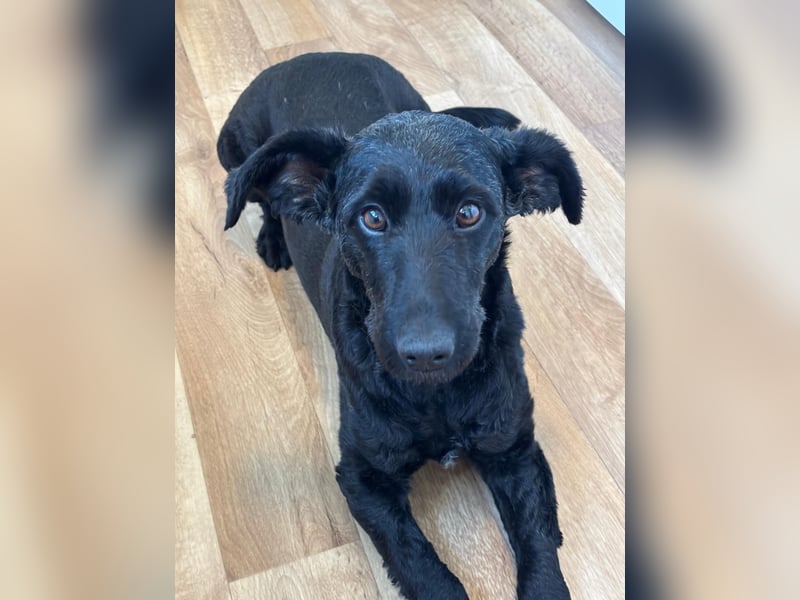 Tolle kluge Lea wartet auf Sie!