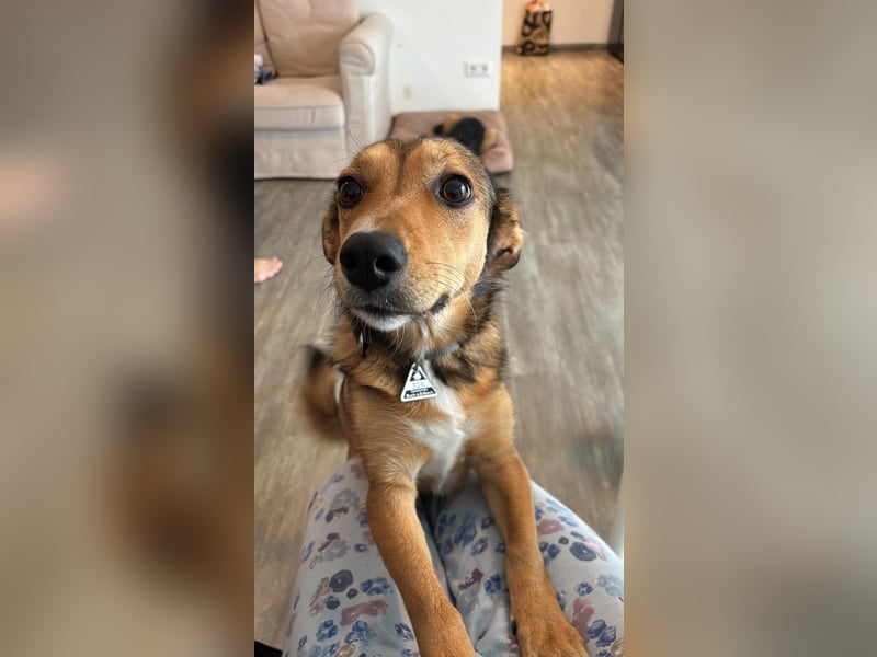 Süße NIUSCHA sucht eine nette Familie