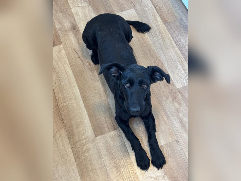 Tolle kluge Lea wartet auf Sie!