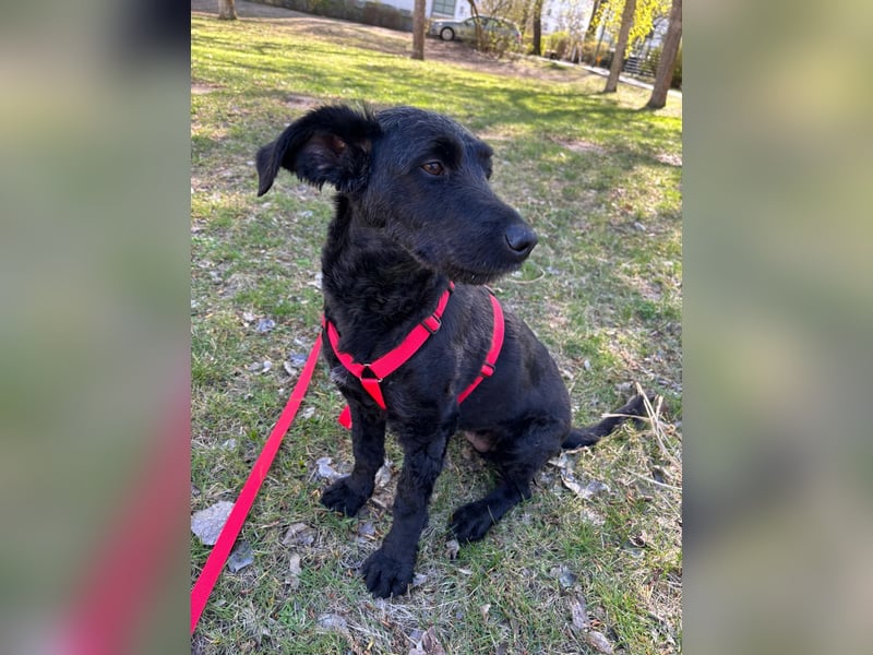 Tolle kluge Lea wartet auf Sie!