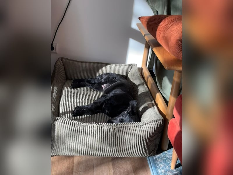 Tolle kluge Lea wartet auf Sie!