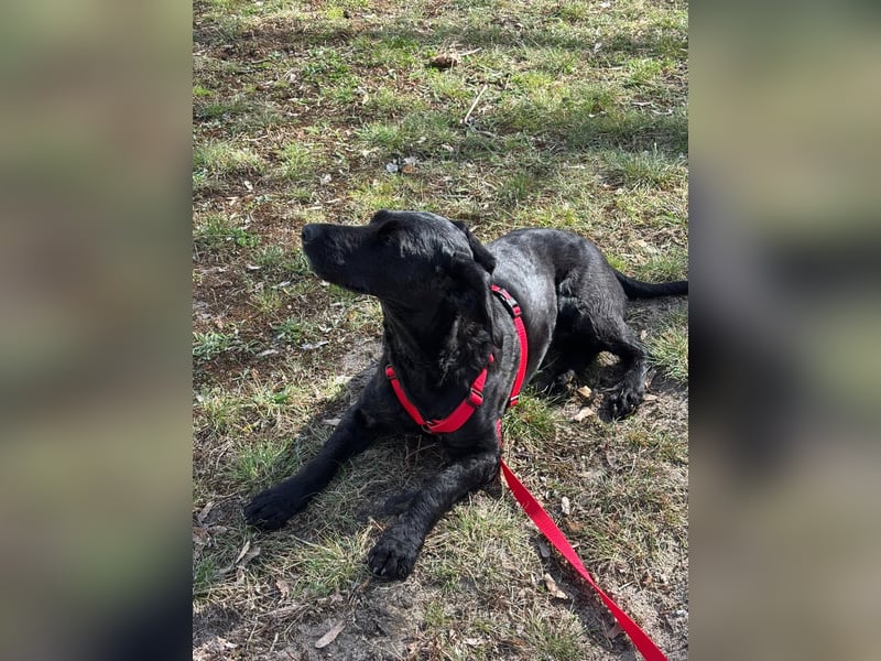 Tolle kluge Lea wartet auf Sie!