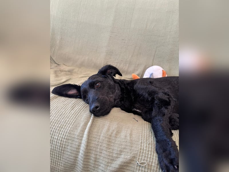 Tolle kluge Lea wartet auf Sie!