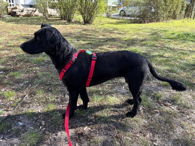 Tolle kluge Lea wartet auf Sie!