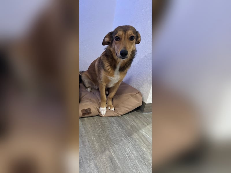 Süße NIUSCHA sucht eine nette Familie