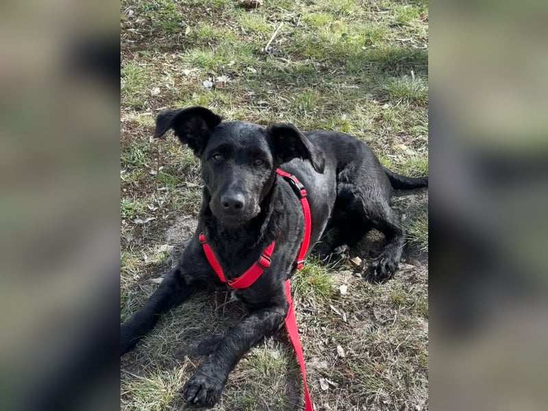 Tolle kluge Lea wartet auf Sie!