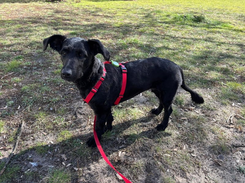 Tolle kluge Lea wartet auf Sie!