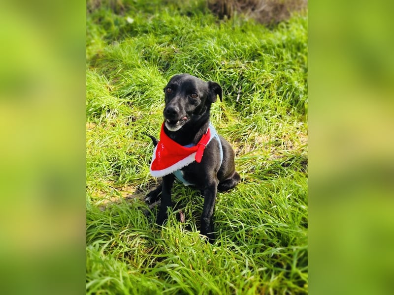 Bubka ein sehr freundliches Mädchen