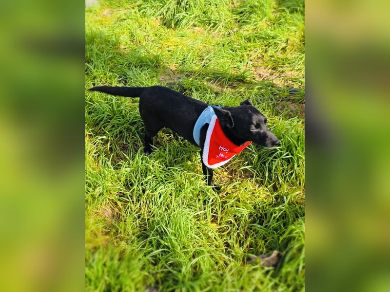 Bubka ein sehr freundliches Mädchen