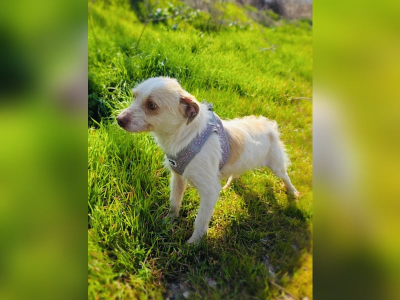 Gero ein verschmustes Kerlchen