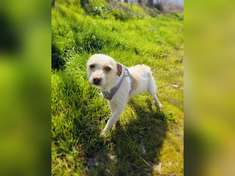 Gero ein verschmustes Kerlchen