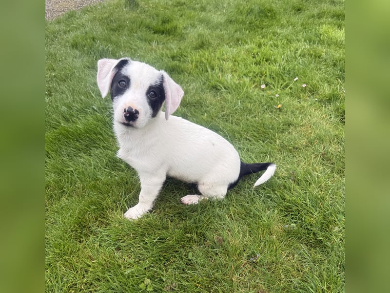 Lilo ein verschmustes Mädchen