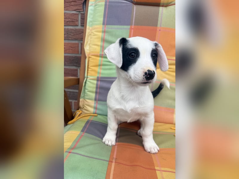 Lilo ein verschmustes Mädchen