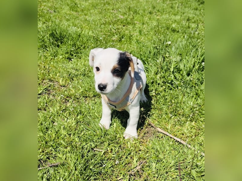 Melody ein kleines Mädchen